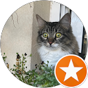 Fran profile picture